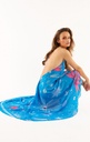 Voila Blue Dress