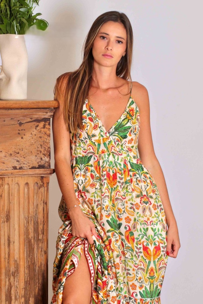 Poetry Parrot Dress