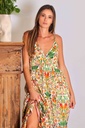 Poetry Parrot Dress