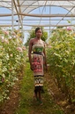 Coconut Flow Dress